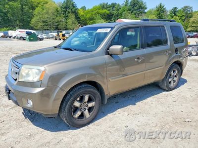 2009 HONDA PILOT EXL 5FNYF48639B026947 - główne zdjęcie licytacji z USA - miniatura