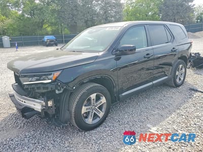 2025 HONDA PILOT EXL 5FNYG2H47SB042137 - główne zdjęcie licytacji z USA - miniatura