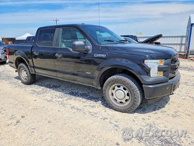 Czwarte zdjęcie samochodu z boku: 2016 FORD F150 SUPERCREW VIN:1FTEW1EP1GFB12197 - miniatura