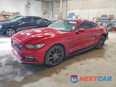 2017 FORD MUSTANG 1FA6P8TH9H5265025 - główne zdjęcie licytacji z USA - miniatura