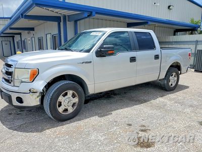 2013 FORD F150 SUPERCREW 1FTEW1CM8DFE01520 - główne zdjęcie licytacji z USA - miniatura