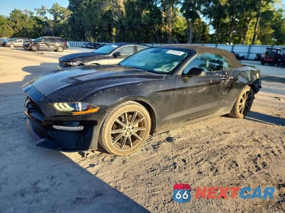2019 FORD MUSTANG 1FATP8UHXK5149700 - główne zdjęcie licytacji z USA - miniatura