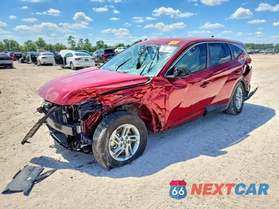 2025 HYUNDAI TUCSON 5NMJA3DE6SH489497 - główne zdjęcie licytacji z USA - miniatura