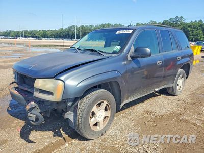 2005 CHEVROLET TRAILBLAZER LS 1GNDS13S052253434 - główne zdjęcie licytacji z USA - miniatura