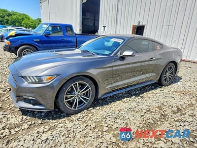 2017 FORD MUSTANG 1FA6P8TH8H5295679 - główne zdjęcie licytacji z USA - miniatura