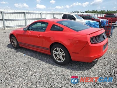 Drugie zdjęcie samochodu z przodu: 2013 FORD MUSTANG VIN:1ZVBP8AM0D5281372 - miniatura