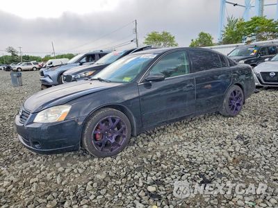 2005 NISS ALTIMA 1N4AL11D45C156668 - główne zdjęcie licytacji z USA - miniatura