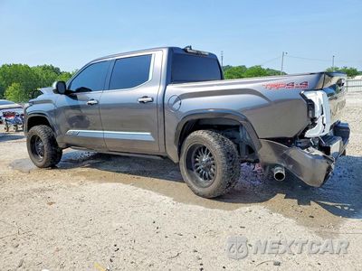Drugie zdjęcie samochodu z przodu: 2023 TOYOTA TUNDRA 1794 EDITION VIN:5TFMA5DB4PX112289 - miniatura