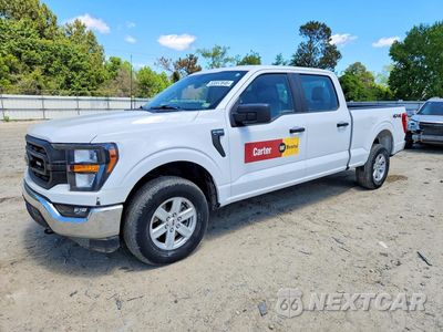 2023 FORD F150 SUPERCREW 1FTFW1E53PKE42837 - główne zdjęcie licytacji z USA - miniatura