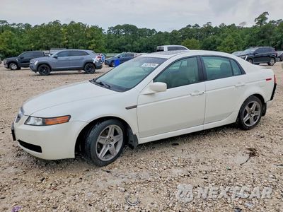 2006 ACURA 3.2TL 19UUA66206A060603 - główne zdjęcie licytacji z USA - miniatura