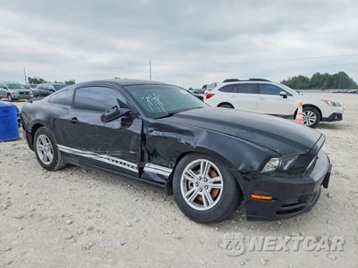 Czwarte zdjęcie samochodu z boku: 2013 FORD MUSTANG VIN:1ZVBP8AM8D5254856 - miniatura