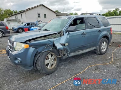 2011 FORD ESCAPE XLT 1FMCU9DG3BKA30903 - główne zdjęcie licytacji z USA - miniatura