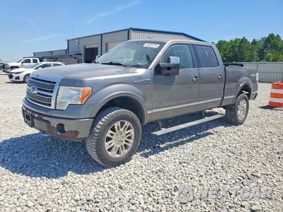 2010 FORD F150 SUPERCREW 1FTFW1EV7AFB87612 - główne zdjęcie licytacji z USA - miniatura