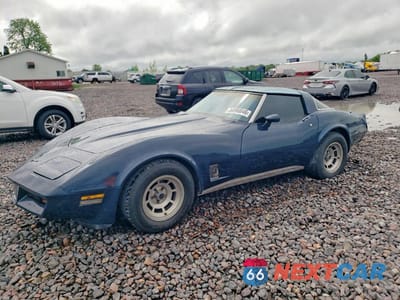 1981 CHEVROLET CORVETTE 1G1AY8761B5104324 - główne zdjęcie licytacji z USA - miniatura