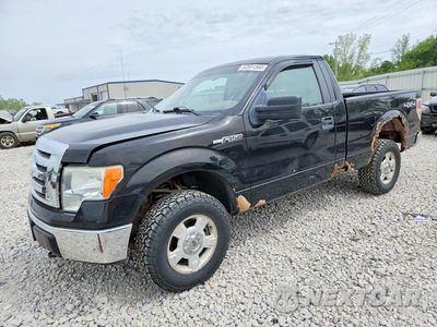 2009 FORD F150 1FTRF14V59KB55596 - główne zdjęcie licytacji z USA - miniatura