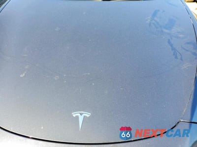 Zdjęcie 11 z 12 samochodu: 2024 TESLA MODEL Y VIN:7SAYGDEE1RA229456 - miniatura