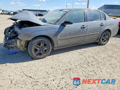2004 CHEVROLET MALIBU LS 1G1ZT52864F230376 - główne zdjęcie licytacji z USA - miniatura