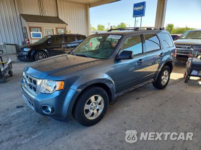2011 FORD ESCAPE LIMITED 1FMCU9E74BKB36193 - główne zdjęcie licytacji z USA - miniatura