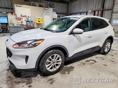 2021 FORD ESCAPE SE 1FMCU9BZ1MUA82817 - główne zdjęcie licytacji z USA - miniatura