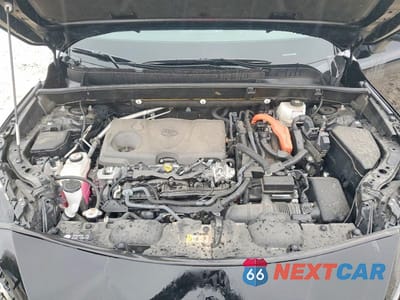 Zdjęcie 12 z 13 samochodu: 2023 TOYOTA VENZA XLE VIN:JTEAAAAH4PJ139642 - miniatura