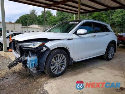 2023 INFINITI QX50 LUXE 3PCAJ5BB9PF114572 - główne zdjęcie licytacji z USA - miniatura