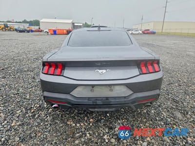 Zdjęcie 6 z 12 samochodu: 2024 FORD MUSTANG VIN:1FA6P8TH4R5113848 - miniatura