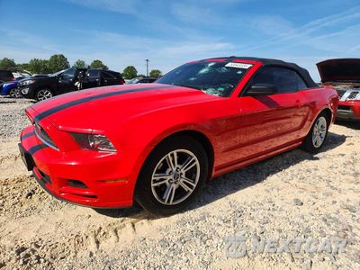 2014 FORD MUSTANG 1ZVBP8EMXE5211065 - główne zdjęcie licytacji z USA - miniatura