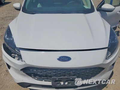 Zdjęcie 12 z 13 samochodu: 2021 FORD ESCAPE SE VIN:1FMCU0G60MUA86416 - miniatura