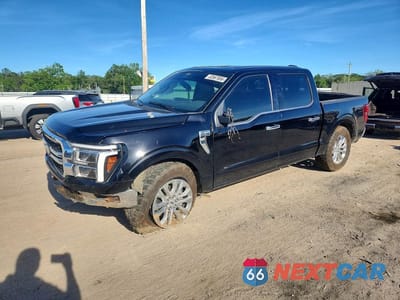 2025 FORD F150 LARIAT 1FTFW5L53SFA82450 - główne zdjęcie licytacji z USA - miniatura
