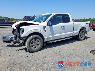 2024 FORD F150 XLT 1FTFX3L88RKD43228 - główne zdjęcie licytacji z USA - miniatura