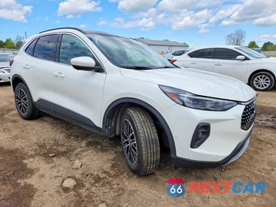 Czwarte zdjęcie samochodu z boku: 2024 FORD ESCAPE VIN:1FMCU0E12RUB01660 - miniatura