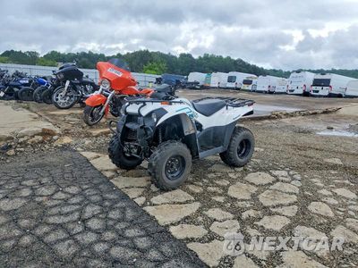 Zdjęcie 10 z 10 samochodu: 2023 KAWASAKI BRUTE FORCE 300 ATV VIN:RGSWM22A7PBK33488 - miniatura
