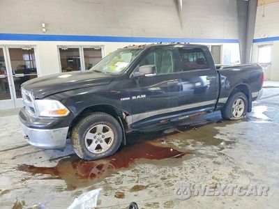 2009 DODGE RAM 1500 1D3HV13T29S800873 - główne zdjęcie licytacji z USA - miniatura