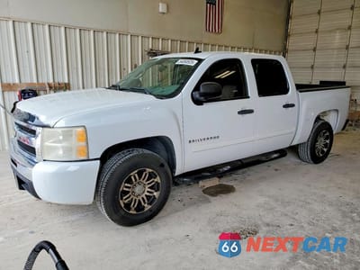2009 CHEVROLET SILVERADO C1500 3GCEC13C69G117485 - główne zdjęcie licytacji z USA - miniatura