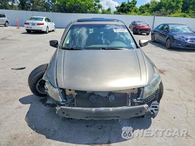 Piąte zdjęcie samochodu w środku: 2010 HONDA ACCORD EX VIN:1HGCP2F80AA087638 - miniatura