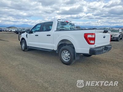 Drugie zdjęcie samochodu z przodu: 2023 FORD F150 VIN:1FTFW1E54PKE09961 - miniatura
