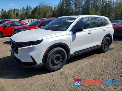 2024 HONDA CR-V EXL 2HKRS6H71RH214162 - główne zdjęcie licytacji z USA - miniatura