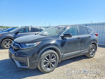 2020 HONDA CR-V EX 5J6RW2H54LL030519 - główne zdjęcie licytacji z USA - miniatura