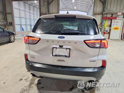 Zdjęcie 6 z 13 samochodu: 2021 FORD ESCAPE SE VIN:1FMCU9BZ1MUA82817 - miniatura