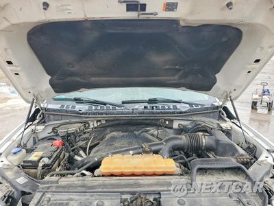 Zdjęcie 11 z 12 samochodu: 2016 FORD F150 SUPERCREW VIN:1FTEW1EG5GFD39523 - miniatura