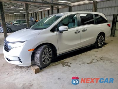 2024 HONDA ODYSSEY EXL 5FNRL6H69RB022202 - główne zdjęcie licytacji z USA - miniatura