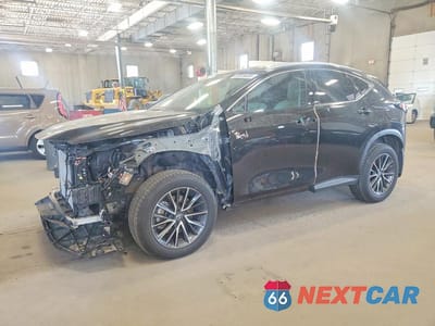 2025 LEXUS NX 350 LUXURY 2T2HGCEZ7SC077010 - główne zdjęcie licytacji z USA - miniatura