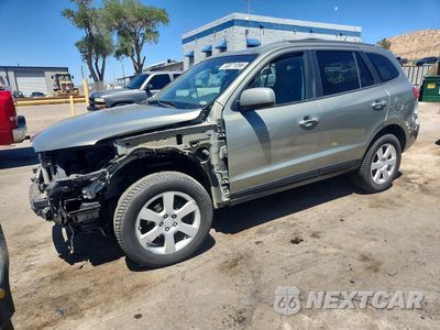 2007 HYUNDAI SANTA FE SE 5NMSH73E17H058968 - główne zdjęcie licytacji z USA - miniatura