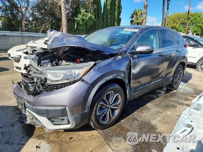 2020 HONDA CR-V EX 2HKRW1H5XLH425132 - główne zdjęcie licytacji z USA - miniatura