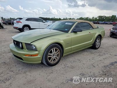 2006 FORD MUSTANG GT 1ZVHT85H865158361 - główne zdjęcie licytacji z USA - miniatura