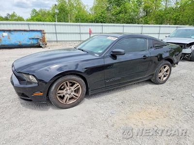 2014 FORD MUSTANG 1ZVBP8AM0E5254044 - główne zdjęcie licytacji z USA - miniatura