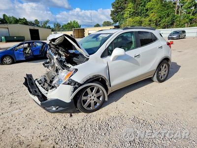 2013 BUICK ENCORE CONVENIENCE KL4CJBSB1DB172952 - główne zdjęcie licytacji z USA - miniatura
