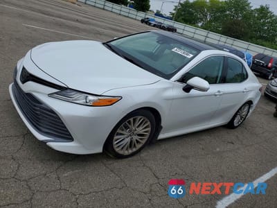 2019 TOYOTA CAMRY XLE 4T1B11HK2KU781323 - główne zdjęcie licytacji z USA - miniatura