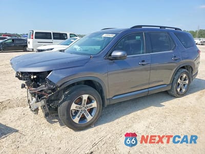 2024 HONDA PILOT EXL 5FNYG2H44RB010319 - główne zdjęcie licytacji z USA - miniatura