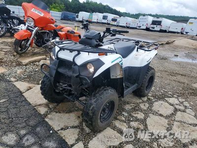 Drugie zdjęcie samochodu z przodu: 2023 KAWASAKI BRUTE FORCE 300 ATV VIN:RGSWM22A7PBK33488 - miniatura
